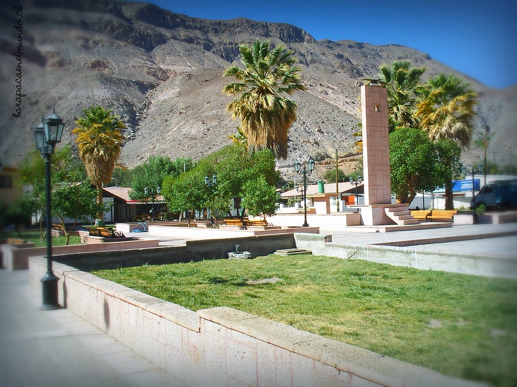 camiña