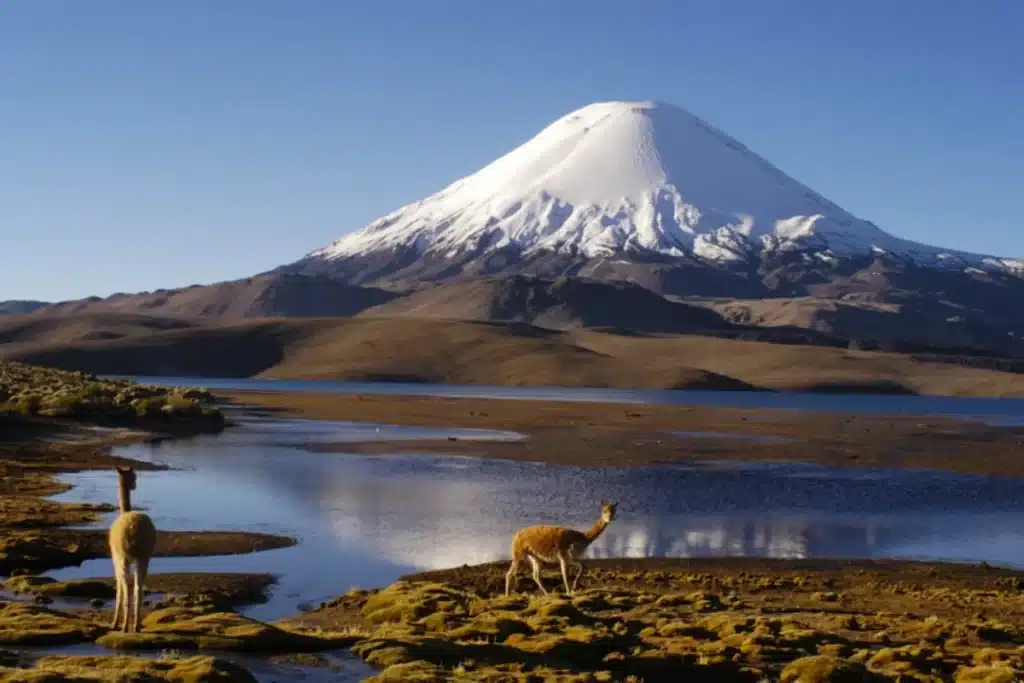 Lago Chungara