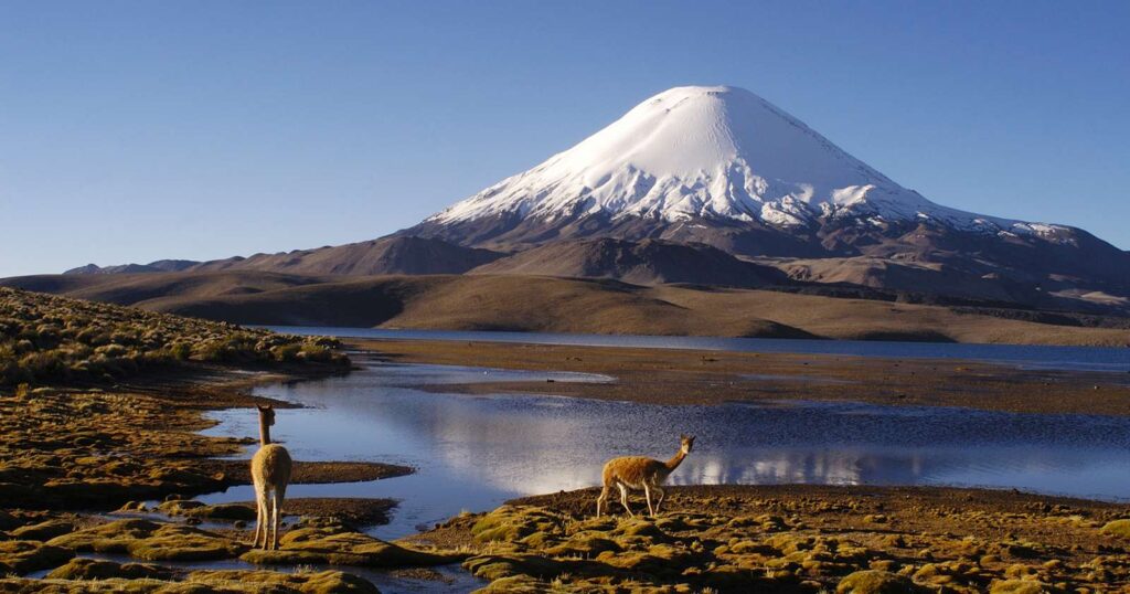 Parque nacional lauca