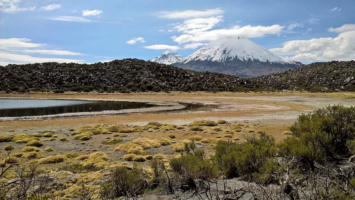 Volcan Parinacota